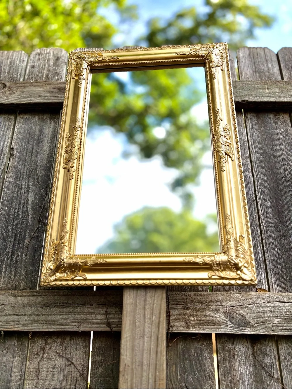 Ornate Gold Decorative Wall Mirror Frame